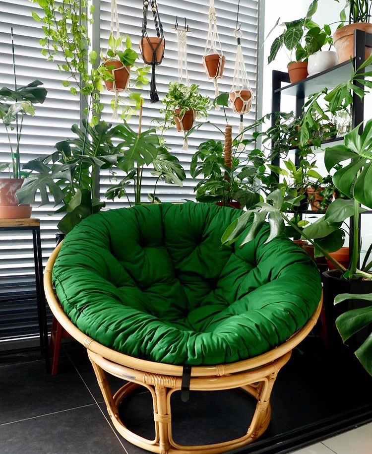 ghế mây decor - ghế papasan