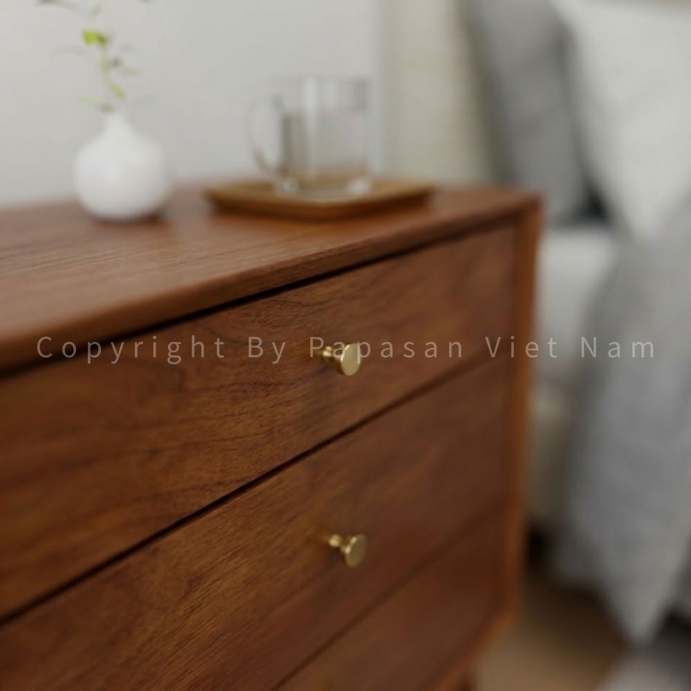 29 PAPASAN VIỆT NAM